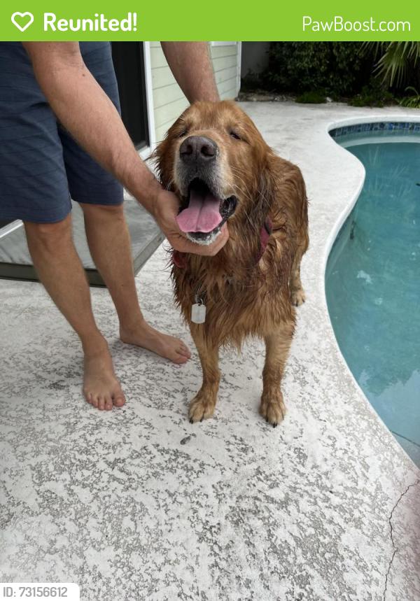 Reunited Male Dog last seen West side Carlin Park, Jupiter, FL 33458