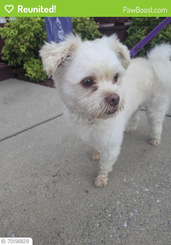 Reunited Unknown Dog last seen Beaverview Dr, Bristol, VA 24201, USA, Bristol, VA 24201
