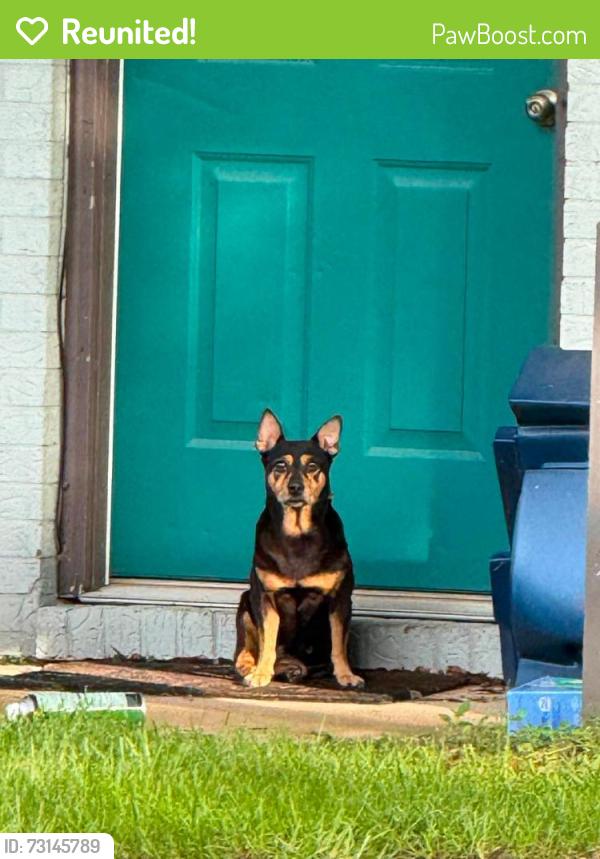 Reunited Female Dog last seen Farm Hill Park, Cantonment, FL 32533