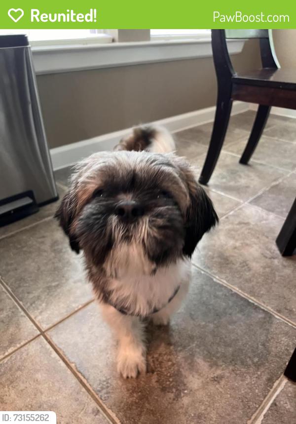 Reunited Female Dog last seen Spring Trails neighborhood Maple Glen section, Spring, TX 77386