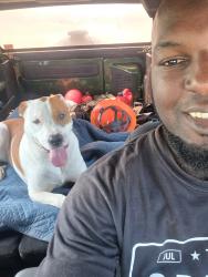 Reunited Male Dog last seen Near and Stork Road, Del Valle, TX 78617