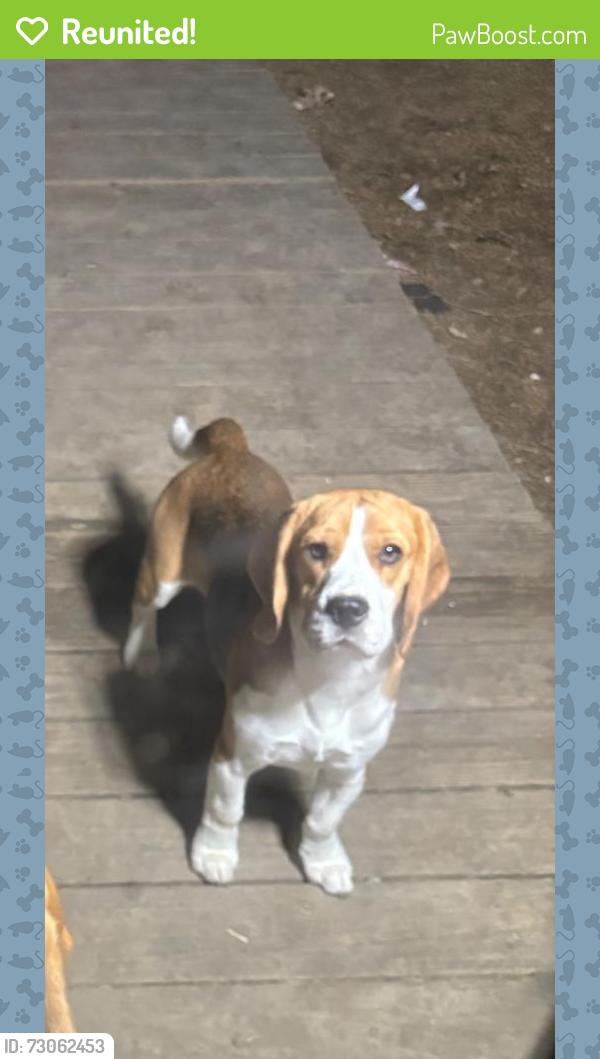Reunited Male Dog last seen Matlock Rd & Cravens Park Dr, Arlington, TX 76018, USA, Arlington, TX 76018