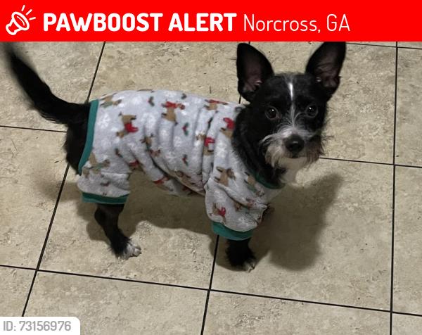 Lost Male Dog last seen Summertown Drive or Shawnee Trail / Huddersfeildway, Norcross, GA 30071