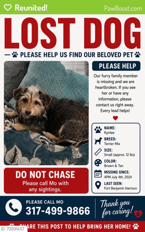 Reunited Female Dog last seen 59th & Lee Rd, Indianapolis, IN 46216