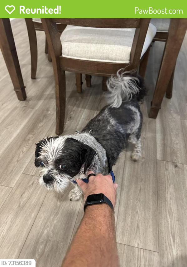 Reunited Male Dog last seen Meadow Trl cantonment, Fl, Cantonment, FL 32533