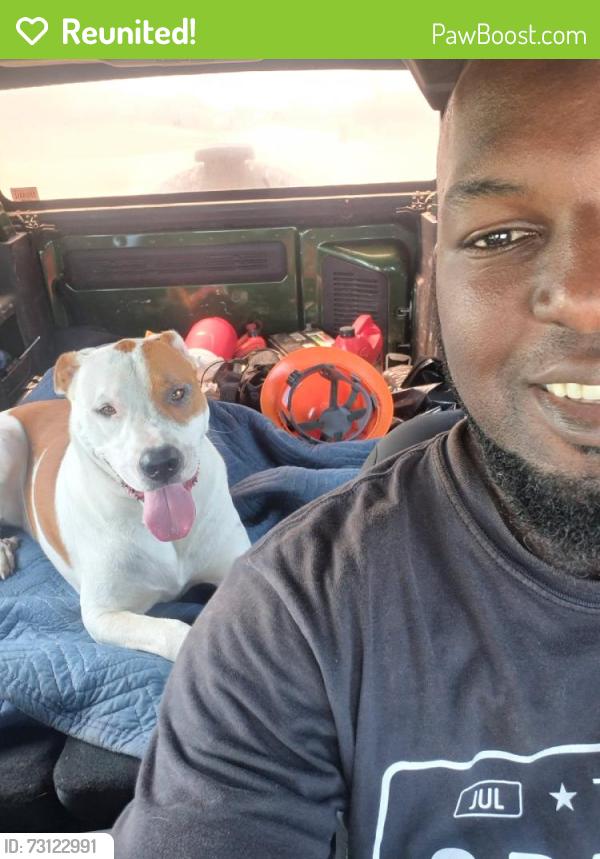 Reunited Male Dog last seen Near and Stork Road, Del Valle, TX 78617