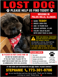 Reunited Male Dog last seen Kathy ct and 103rd st, Palos Hills, IL 60465