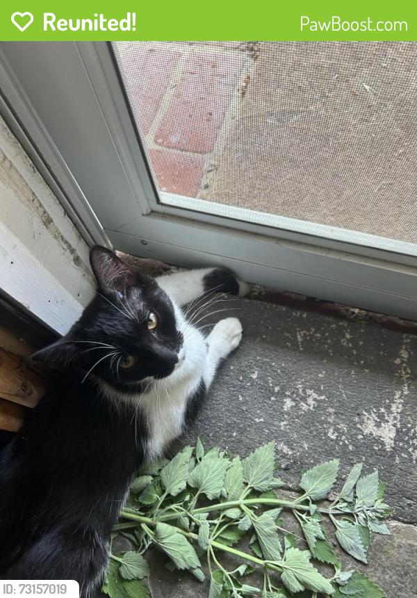 Reunited Female Cat last seen Miner St and Sconneltown Road, West Chester, PA 19382