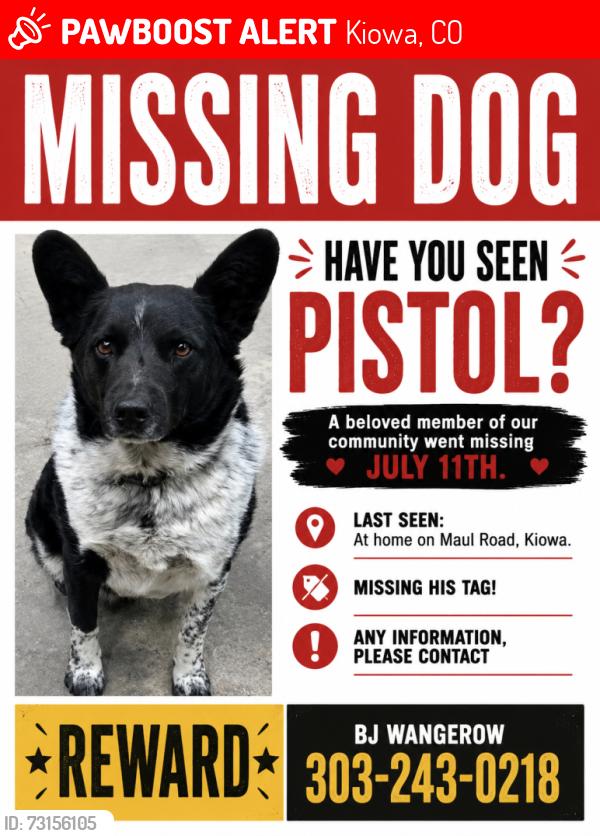 Lost Male Dog last seen Maul rd and Hwy 86 Kiowa, CO, Kiowa, CO 80117