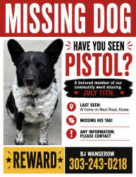Lost Male Dog last seen Maul rd and Hwy 86 Kiowa, CO, Kiowa, CO 80117