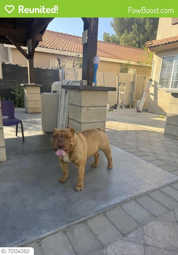 Reunited Male Dog last seen Orange/ Redlands, Perris, CA 92571