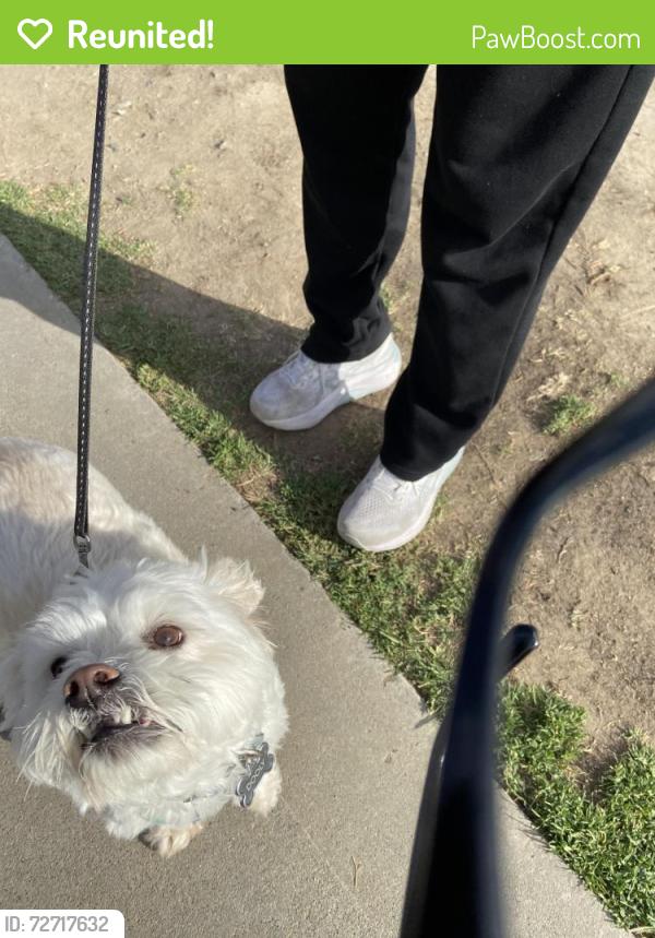 Reunited Male Dog last seen Mount Alifan drive & mount Aguilar, San Diego, CA 92111