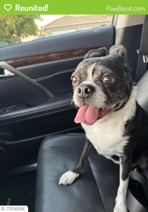 Reunited Female Dog last seen Woo/JFK, Riverside, CA 92508