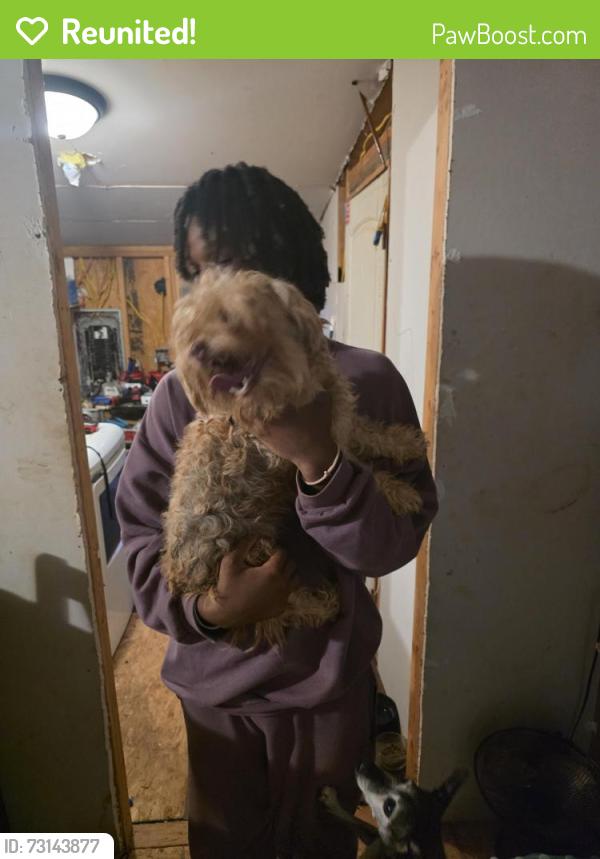 Reunited Male Dog last seen Kimes ave and Gaddy, Macomb, OK 74852