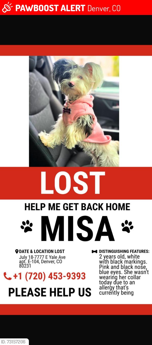 Lost Female Dog last seen Colorado, Denver, CO 80231