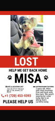 Lost Female Dog last seen Colorado, Denver, CO 80231