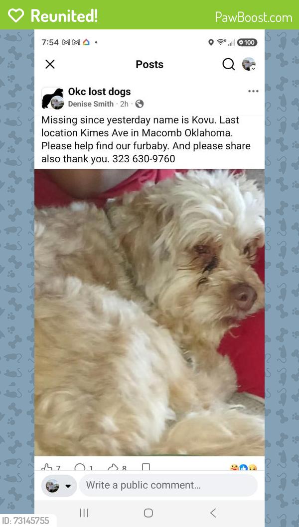 Reunited Male Dog last seen Kimes ave, Macomb, OK 74852