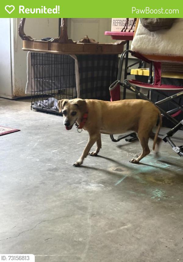 Reunited Unknown Dog last seen Chulio road, Twin Ct, Rome, GA 30161