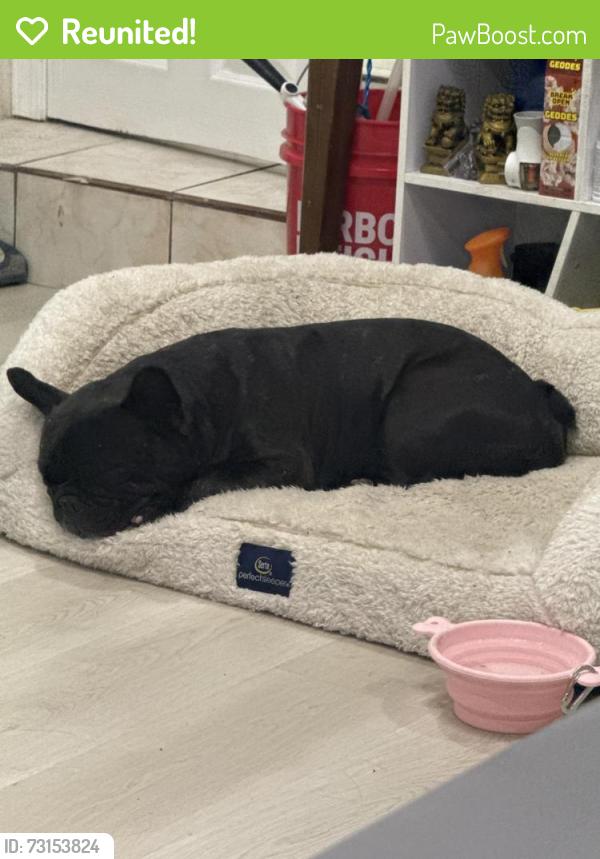 Reunited Male Dog last seen Gilroy sports park, Gilroy, CA 95020