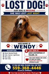 Lost Female Dog last seen Enterprise, cartmill and oakdale, Tulare, CA 93274