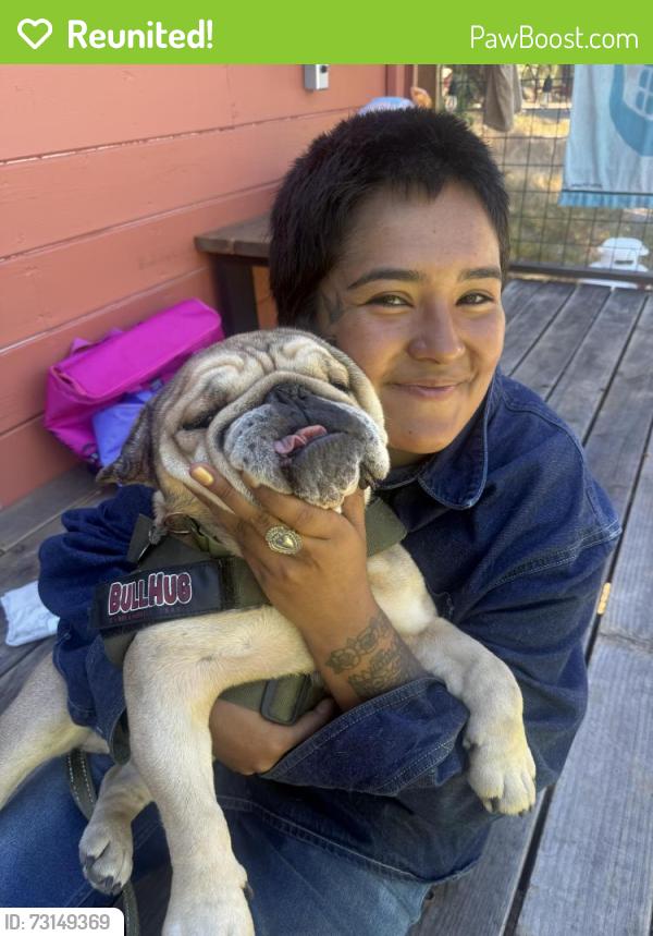 Reunited Male Dog last seen Near King Ridge Rd, Cazadero, CA 95421, Cazadero, CA 95421