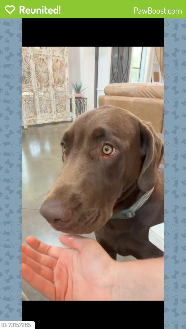 Reunited Male Dog last seen The Reserve at College Station, College Station, TX 77845