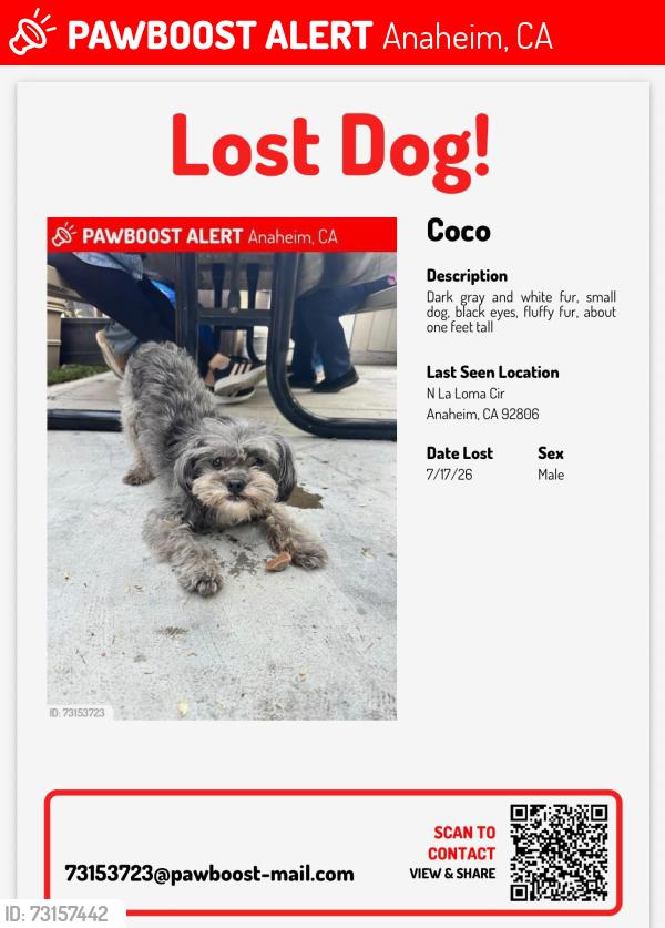 Lost Male Dog last seen Near N La loma cir, Anaheim, CA 92806