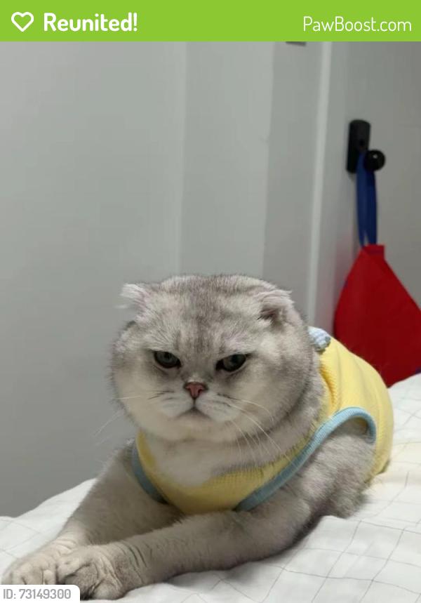 Reunited Male Cat last seen 107A surrey, Surrey, BC V3T 2G8
