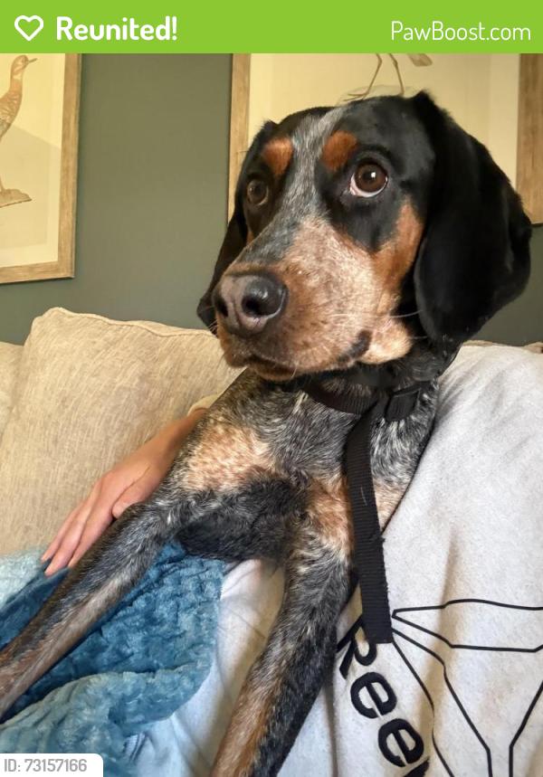 Reunited Female Dog last seen West Outer Dr., Oak Ridge, TN 37830