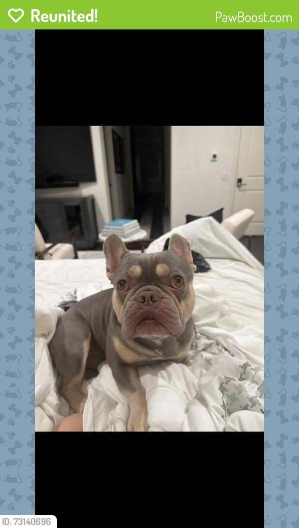 Reunited Male Dog last seen Near sorrel, Rolling Hills Estates, CA 90274
