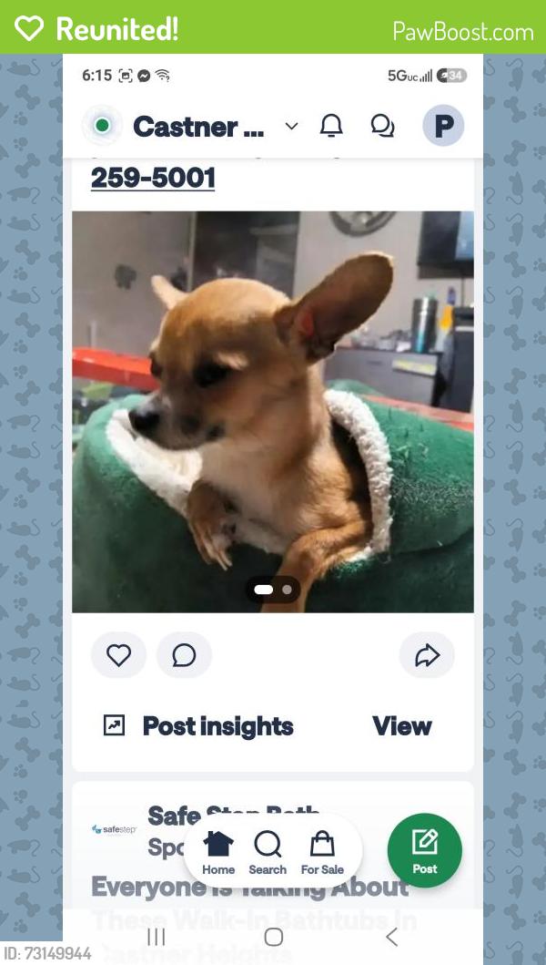 Reunited Female Dog last seen Belinda Ann & Stahala, El Paso, TX 79924