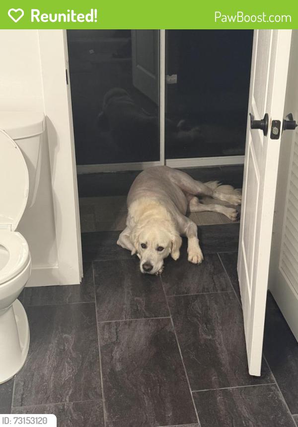 Reunited Male Dog last seen Near a and 329, Reddick, FL 32686