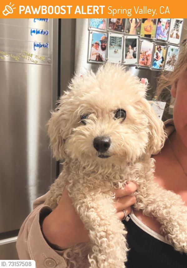 Found/Stray Unknown Dog last seen Bancroft, Spring Valley, CA 91941