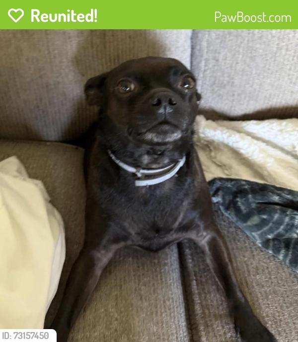 Reunited Female Dog last seen N chestnut ave and E sierra ave, Fresno, CA 93710