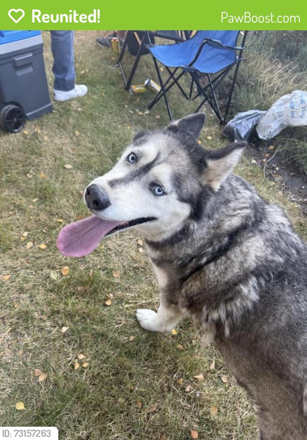 Reunited Unknown Dog last seen Near S 247th St, Des Moines, WA 98198, USA, Des Moines, WA 98198
