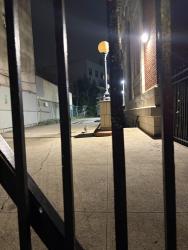 Found/Stray Unknown Cat last seen Bedford library alley to the left, Brooklyn, NY 11238