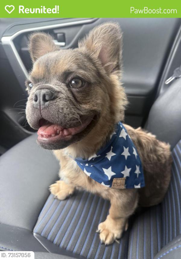 Reunited Male Dog last seen Vista Truly terr 92084, Vista, CA 92084