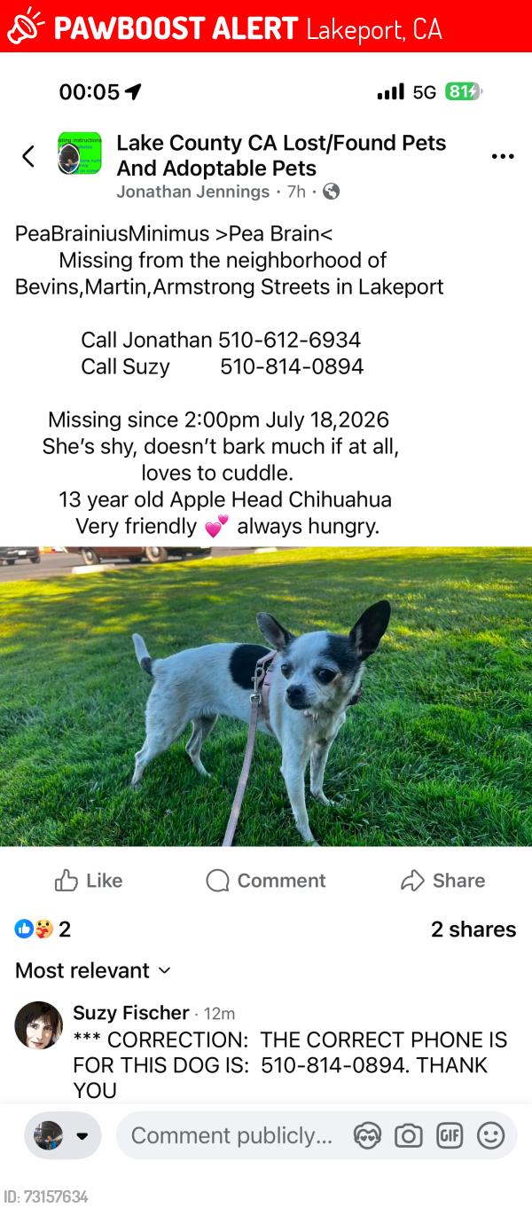 Lost Female Dog last seen Armstrong St and Starr St, Lakeport, CA 95453