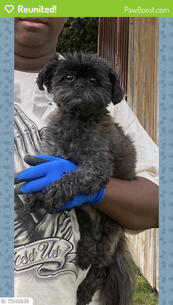 Reunited Male Dog last seen Elgin and Wabash, Spokane, WA 99205