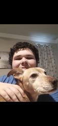 Reunited Male Dog last seen Near jubilee ct, Roseville, CA 95747