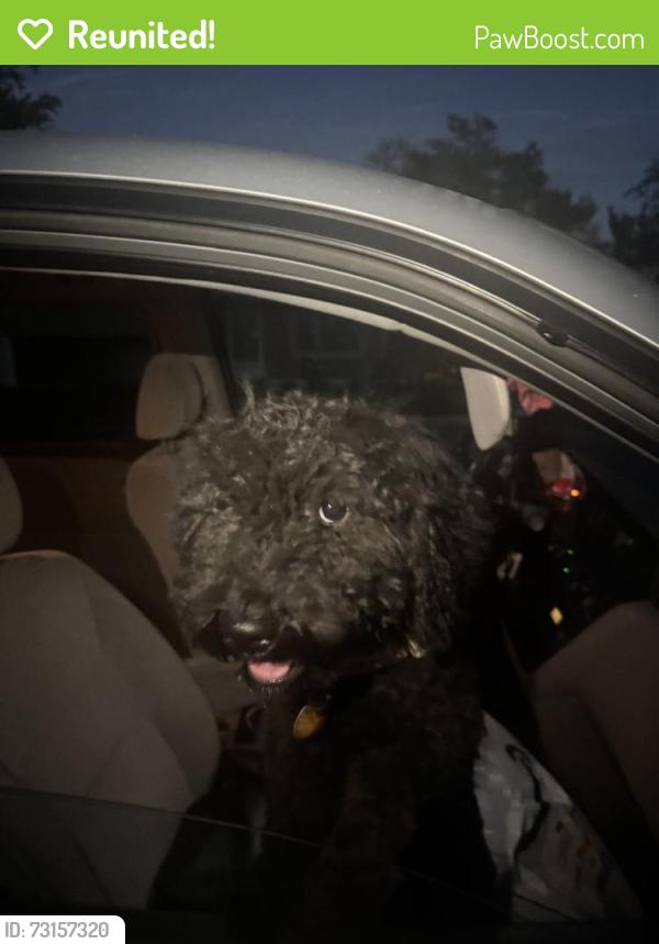 Reunited Male Dog last seen Near Bannock Dr, West Valley City, UT 84120, USA, West Valley City, UT 84120