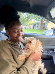 Reunited Male Dog last seen Polo Ranch Blvd, Fulshear, TX 77441