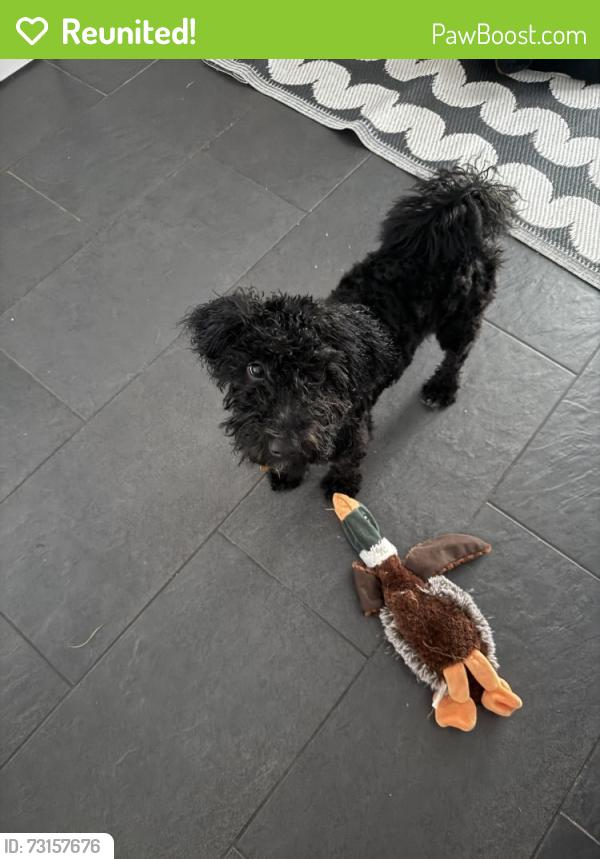 Reunited Male Dog last seen Near west, West Valley City, UT 84120