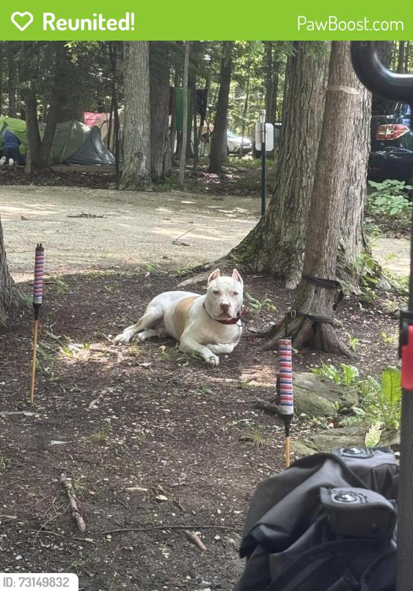 Reunited Male Dog last seen Burleigh, Milwaukee, WI 53216