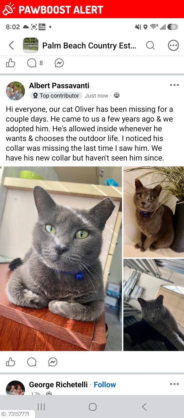 Lost Male Cat last seen Palm Beach county ests, West Palm Beach, FL 33418
