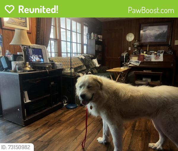 Reunited Male Dog last seen Woodcourt Arcadia/Lexington North Carolina, Lexington, NC 27292