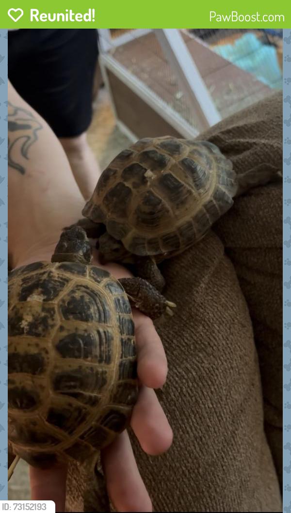 Reunited Male Reptile last seen Heckrodt Wetland Reserve, Menasha, WI 54956