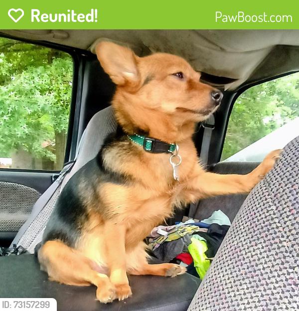 Reunited Female Dog last seen The Limestone Ruritan Park, Limestone, TN 37681