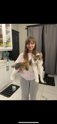 Reunited Female Cat last seen Delaware and Fairleigh, Hamilton, ON L8M 1V2