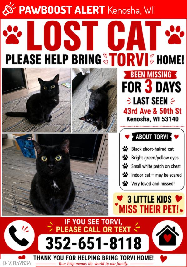 Lost Female Cat last seen 43rd ave and 50th st, Kenosha, WI 53144